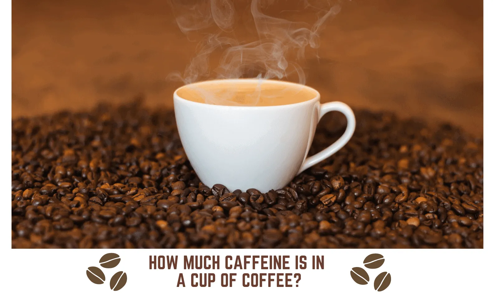 How Much Caffeine is in a Cup of Coffee? A Complete Guide