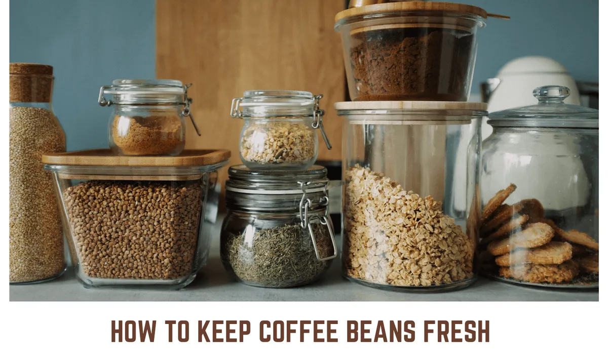 How To Keep Coffee Beans Fresh