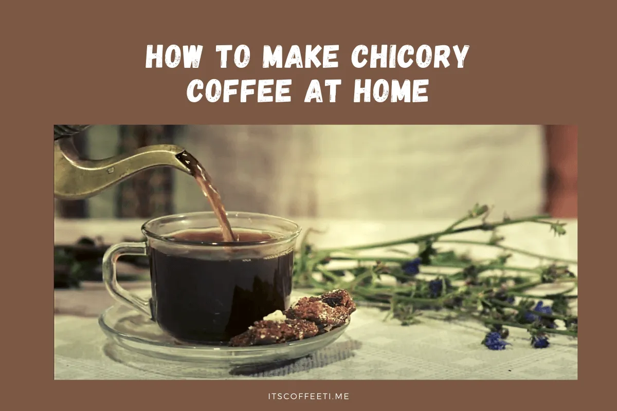 How To Make Chicory Coffee at Home? Simple Easy Recipes