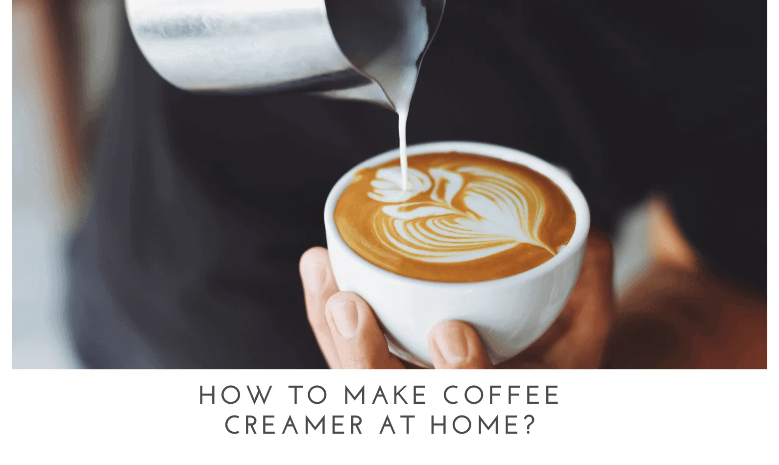 How To Make Coffee Creamer at Home? Easy Methods
