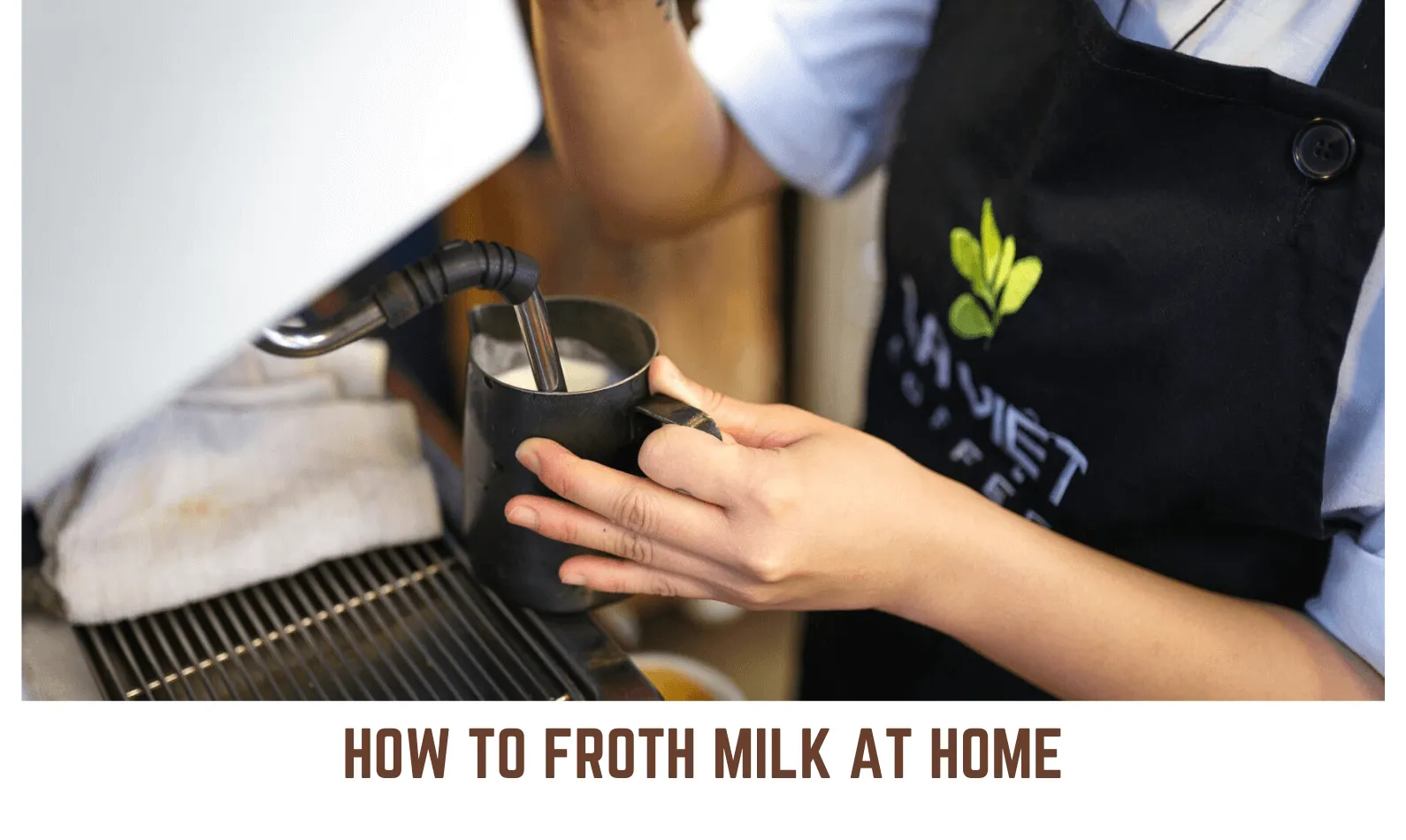 How to Froth Milk at Home? Nine Easy Methods To Follow
