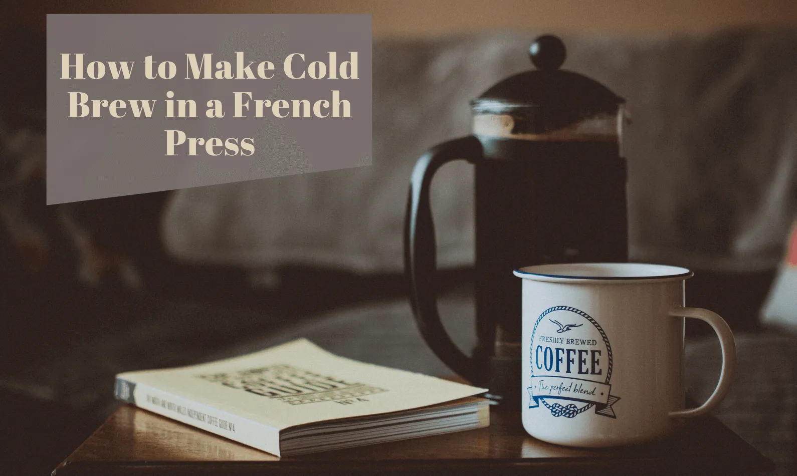 How to Make Cold Brew in a French Press? Quick Easy Steps