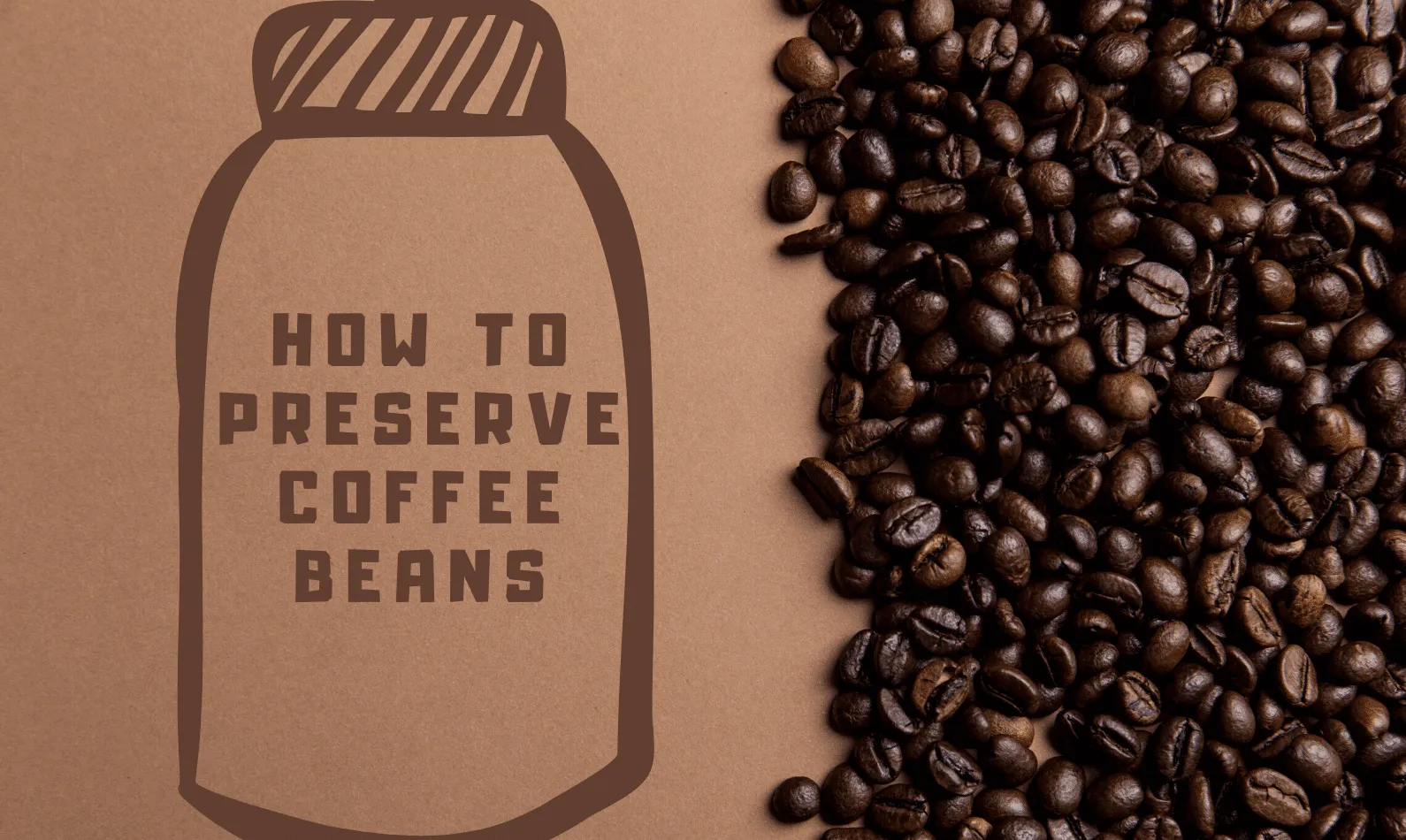 How to Preserve Coffee Beans? Best Ways to Keep them Fresh