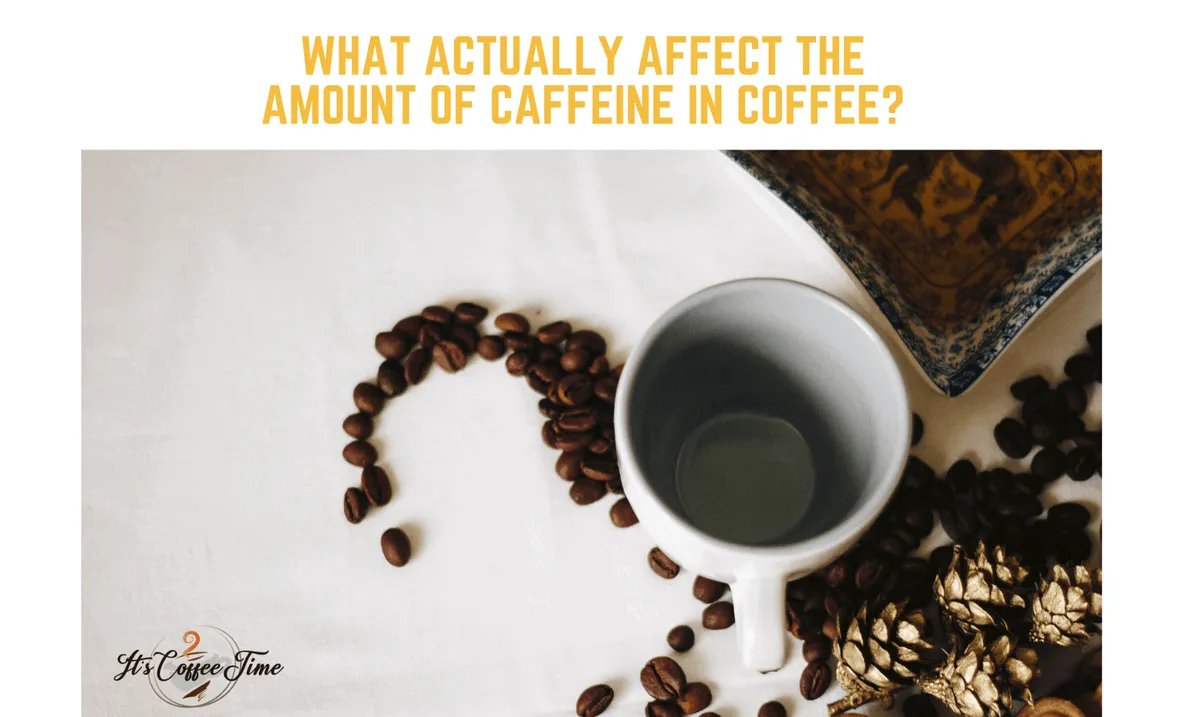 What Actually Affect the Amount of Caffeine in Coffee