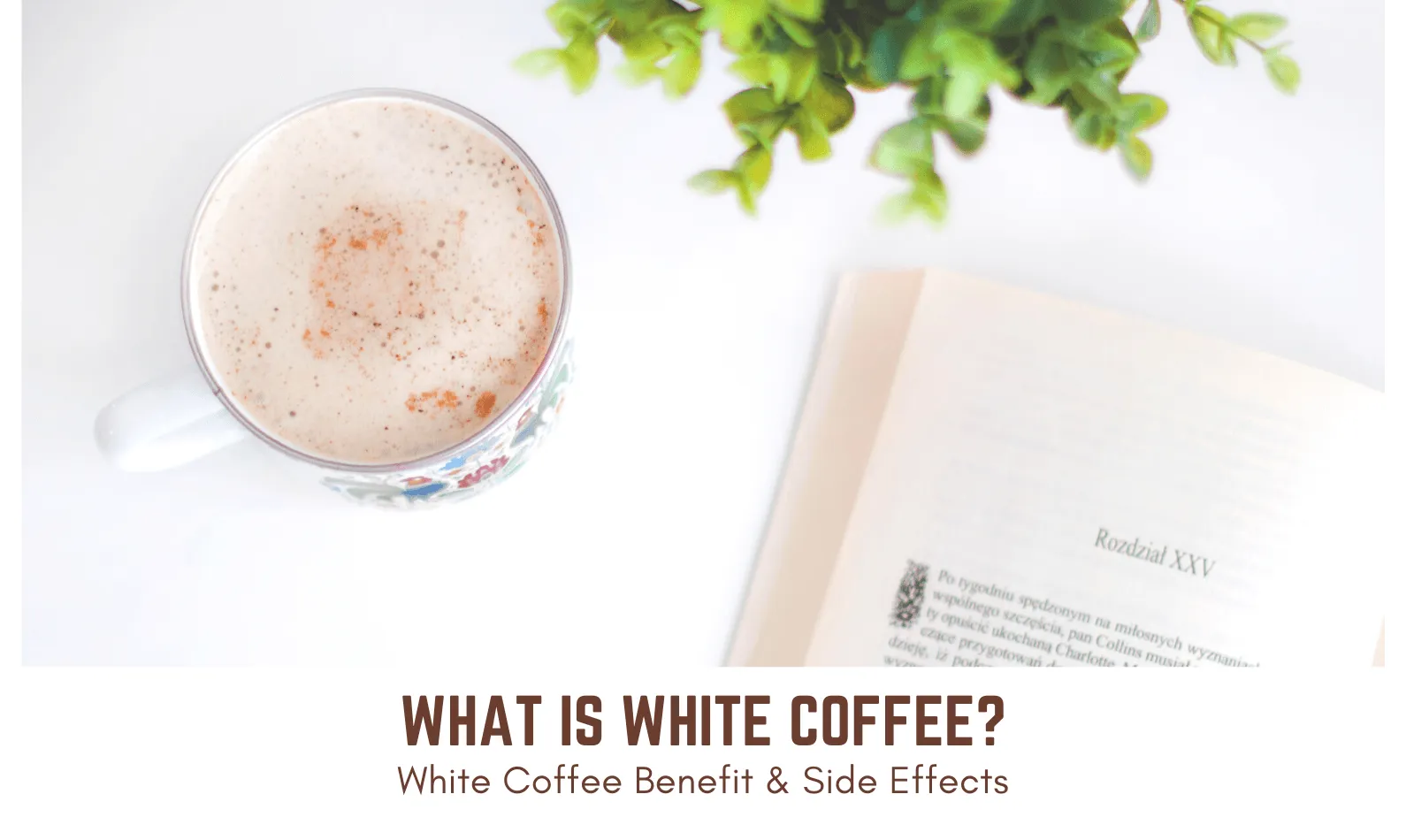 What is White Coffee? White Coffee Benefit & Side Effects