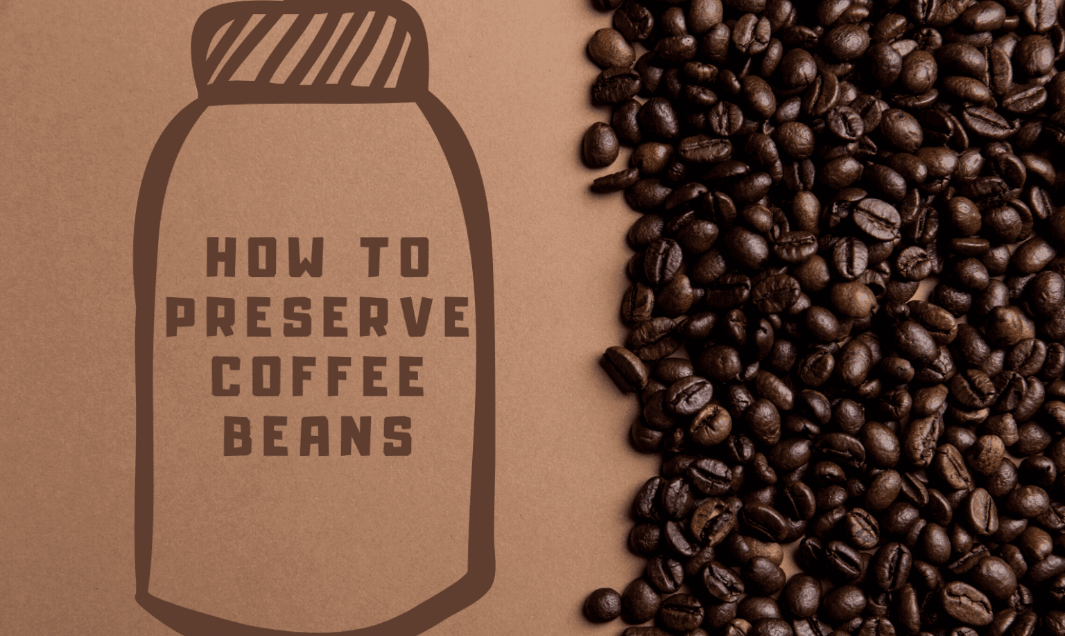 How To Preserve Coffee Beans? Best Ways To Keep Fresh