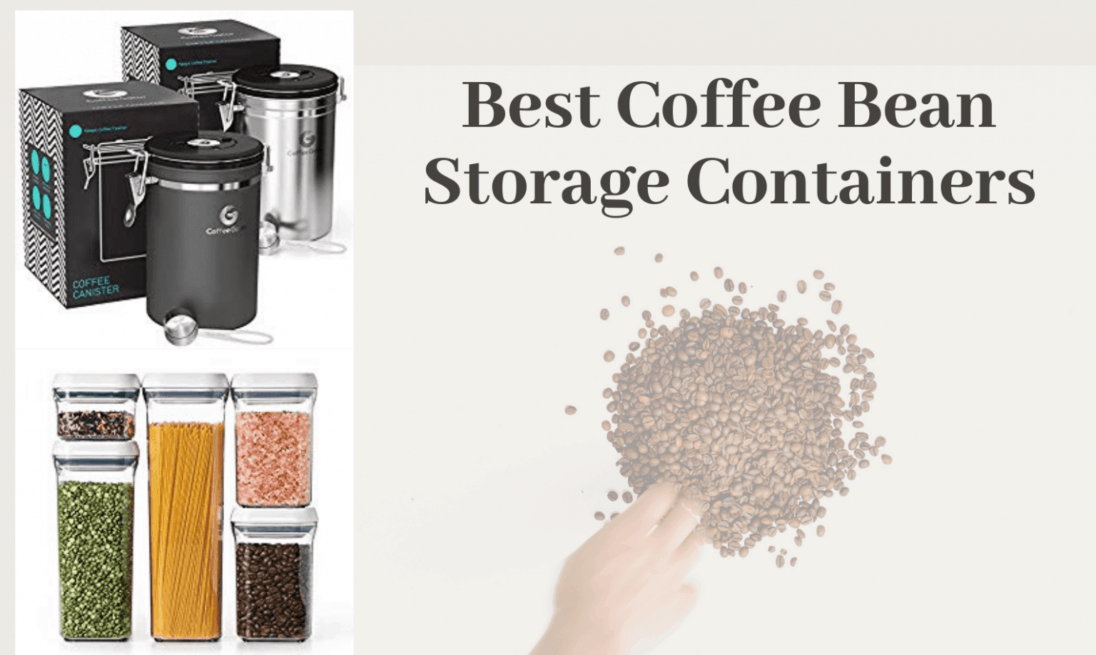 Best Coffee Bean Storage Containers Top Picks Reviewed 2022