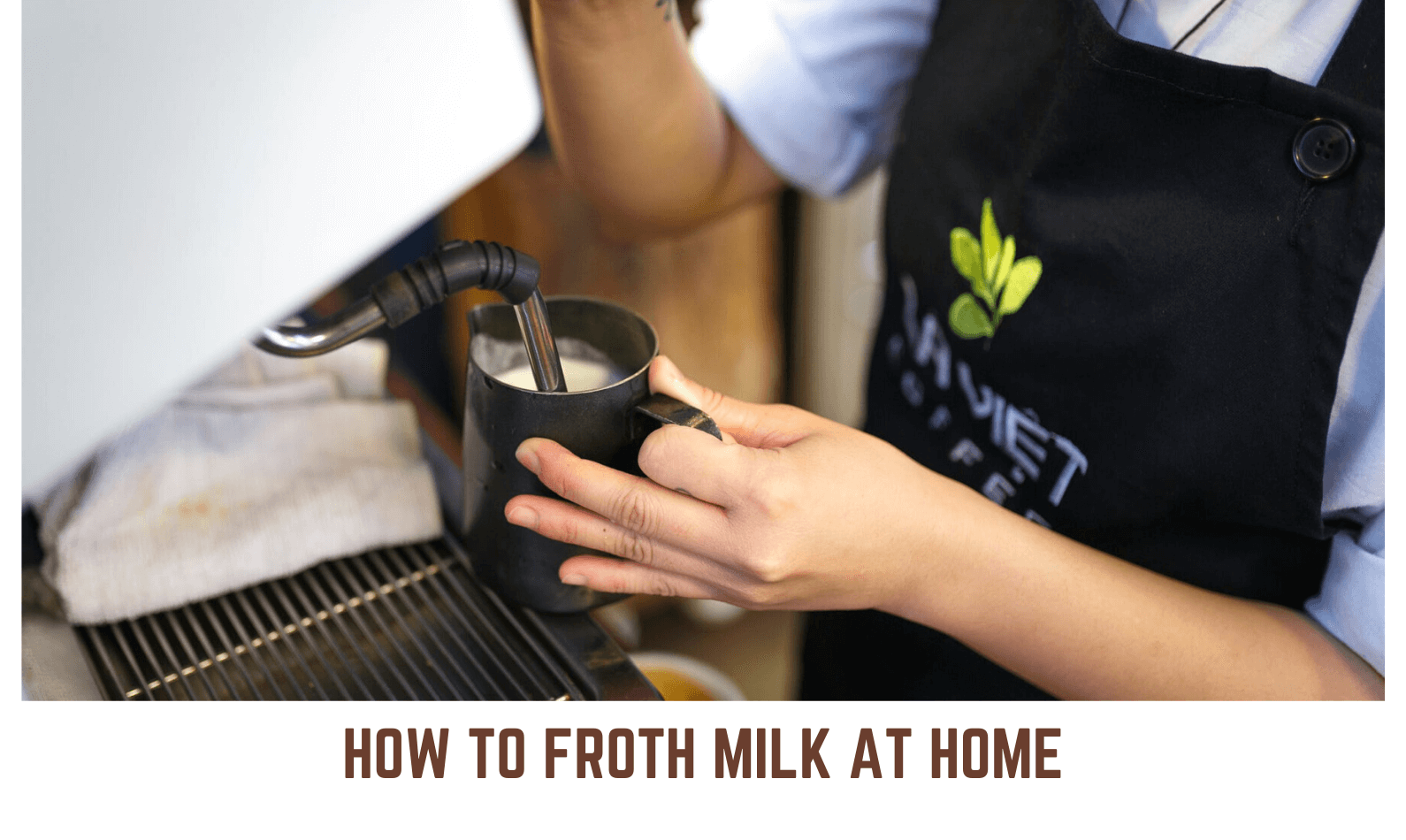 How To Froth Milk At Home 9 Easy Methods To Follow