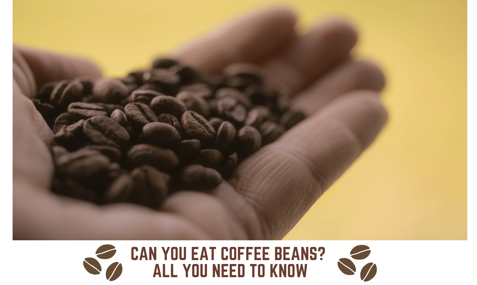 Can You Eat Coffee Beans