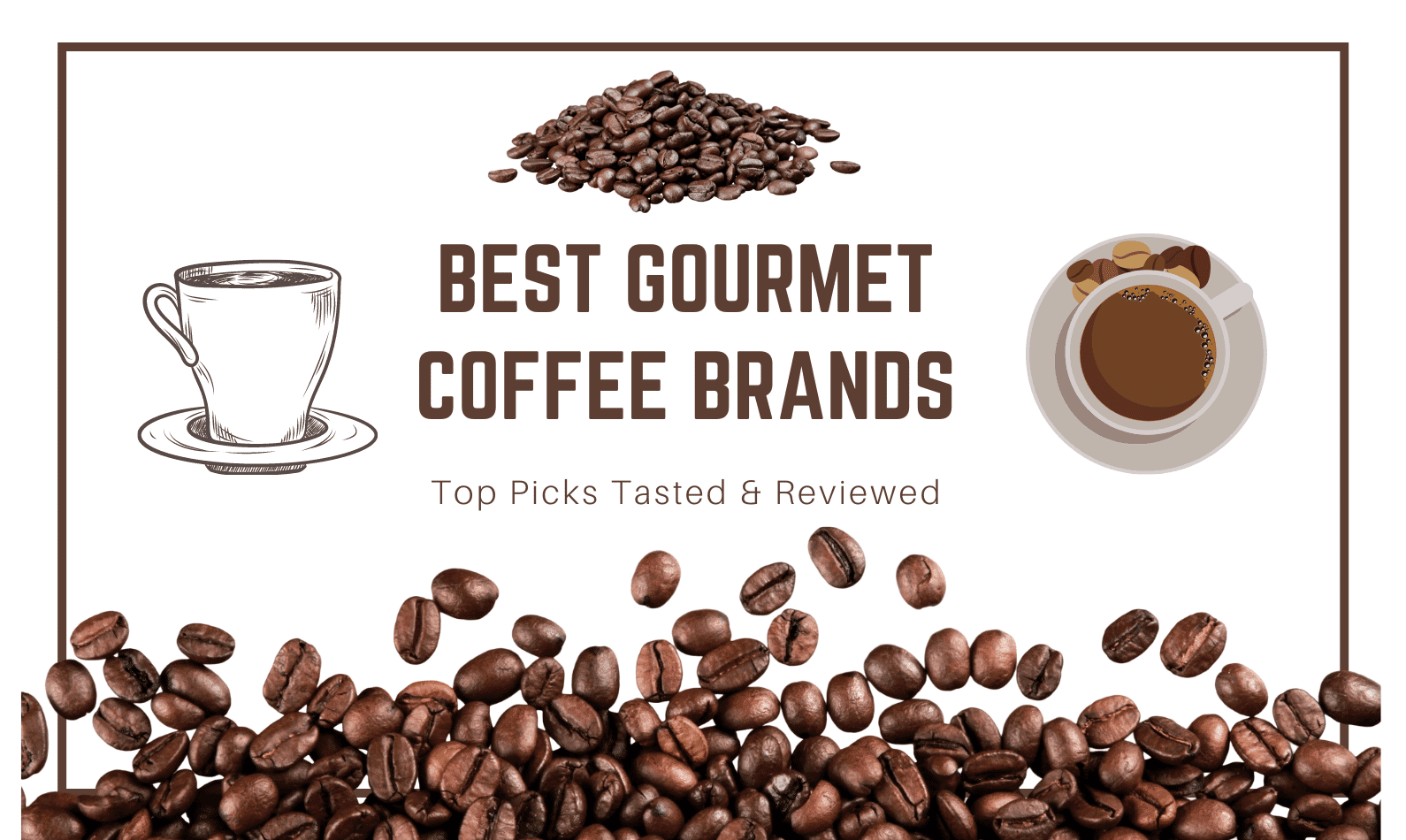Best Gourmet Coffee Brands 2020 Top Picks Tasted & Reviewed