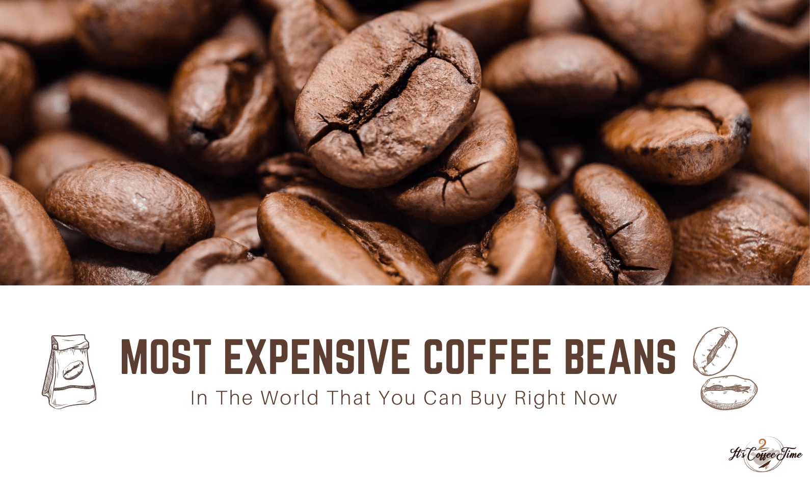 Taste Of Coffee Bean Monkey