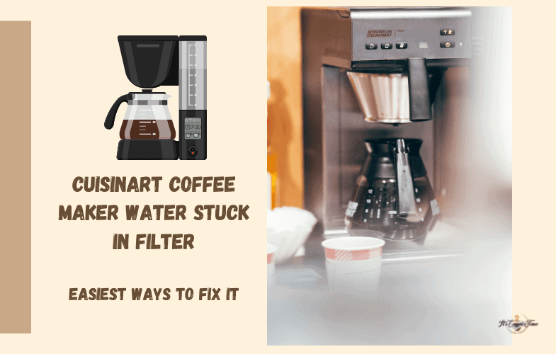 Best Coffee Machine with Hot Water Function